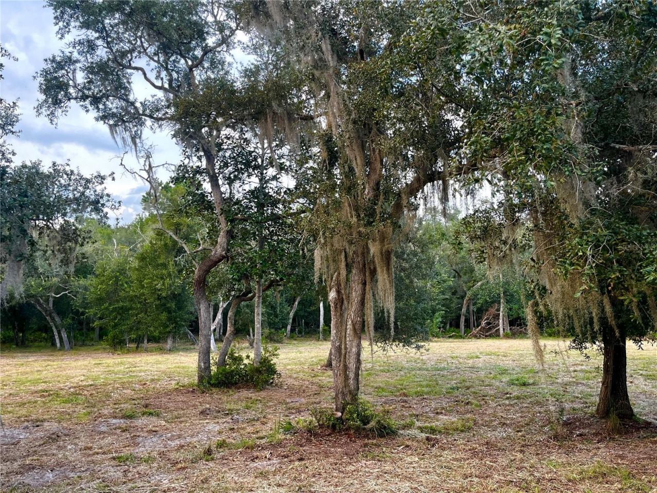 Canal Street , Fanning Springs, FL 32693 Photo