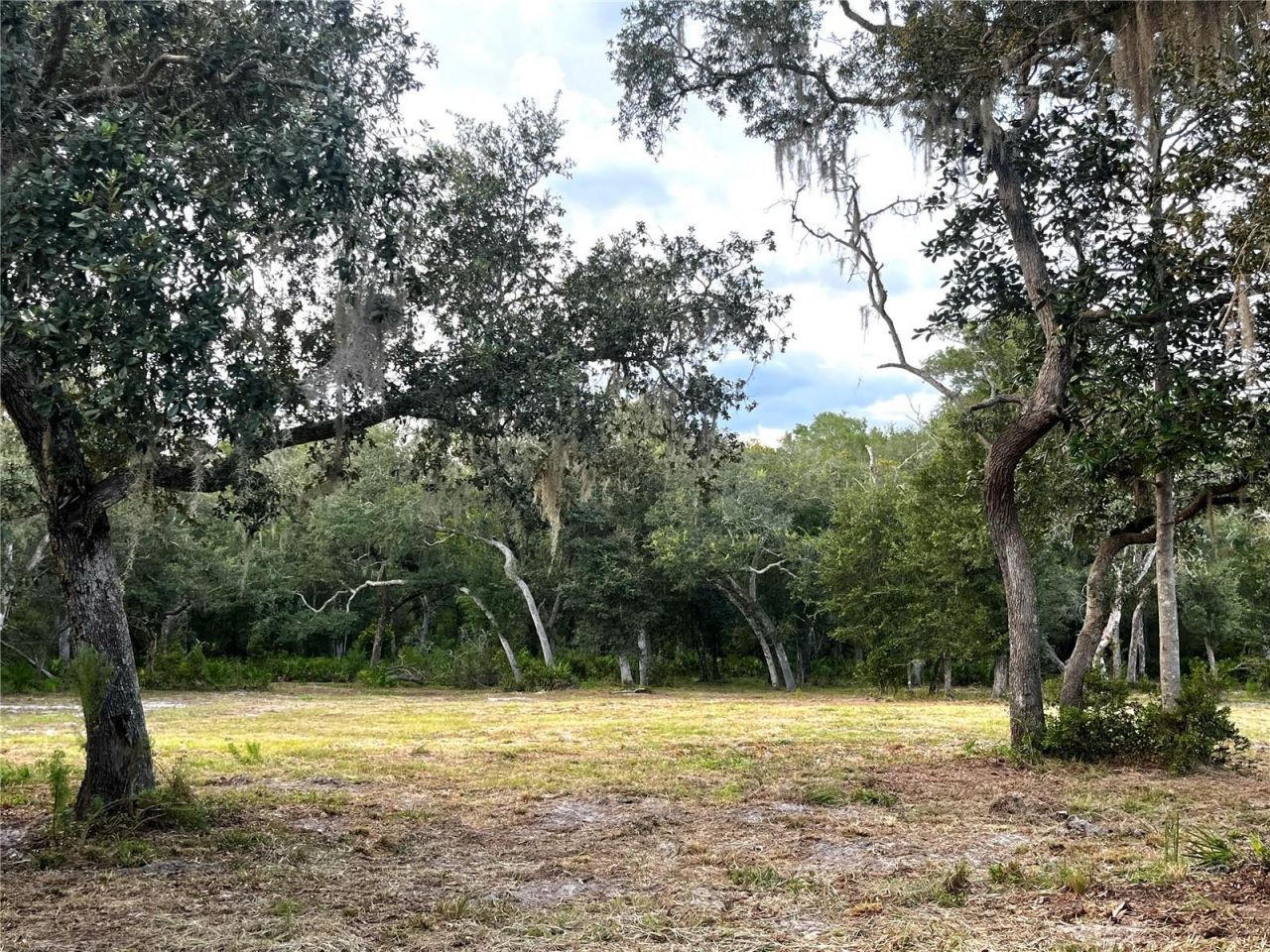 Canal Street , Fanning Springs, FL 32693 Photo