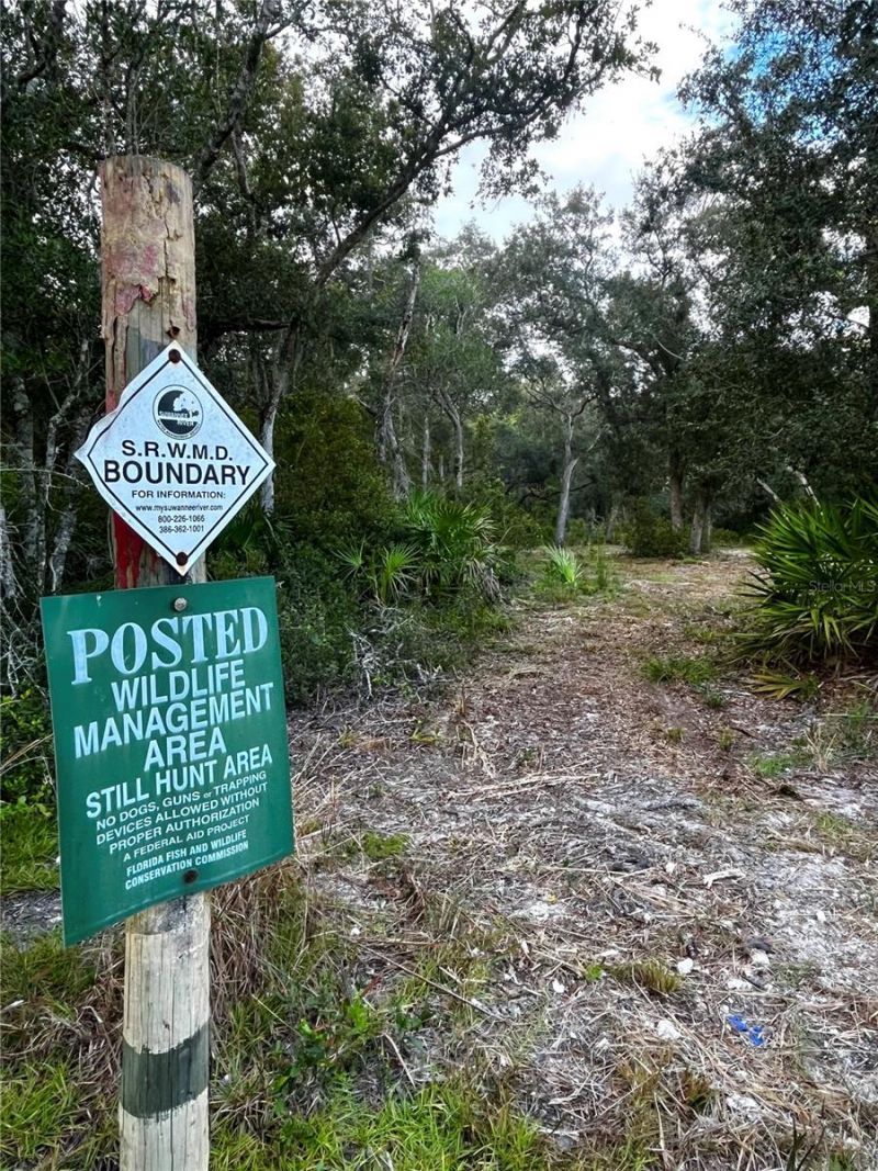 Canal Street , Fanning Springs, FL 32693 Photo