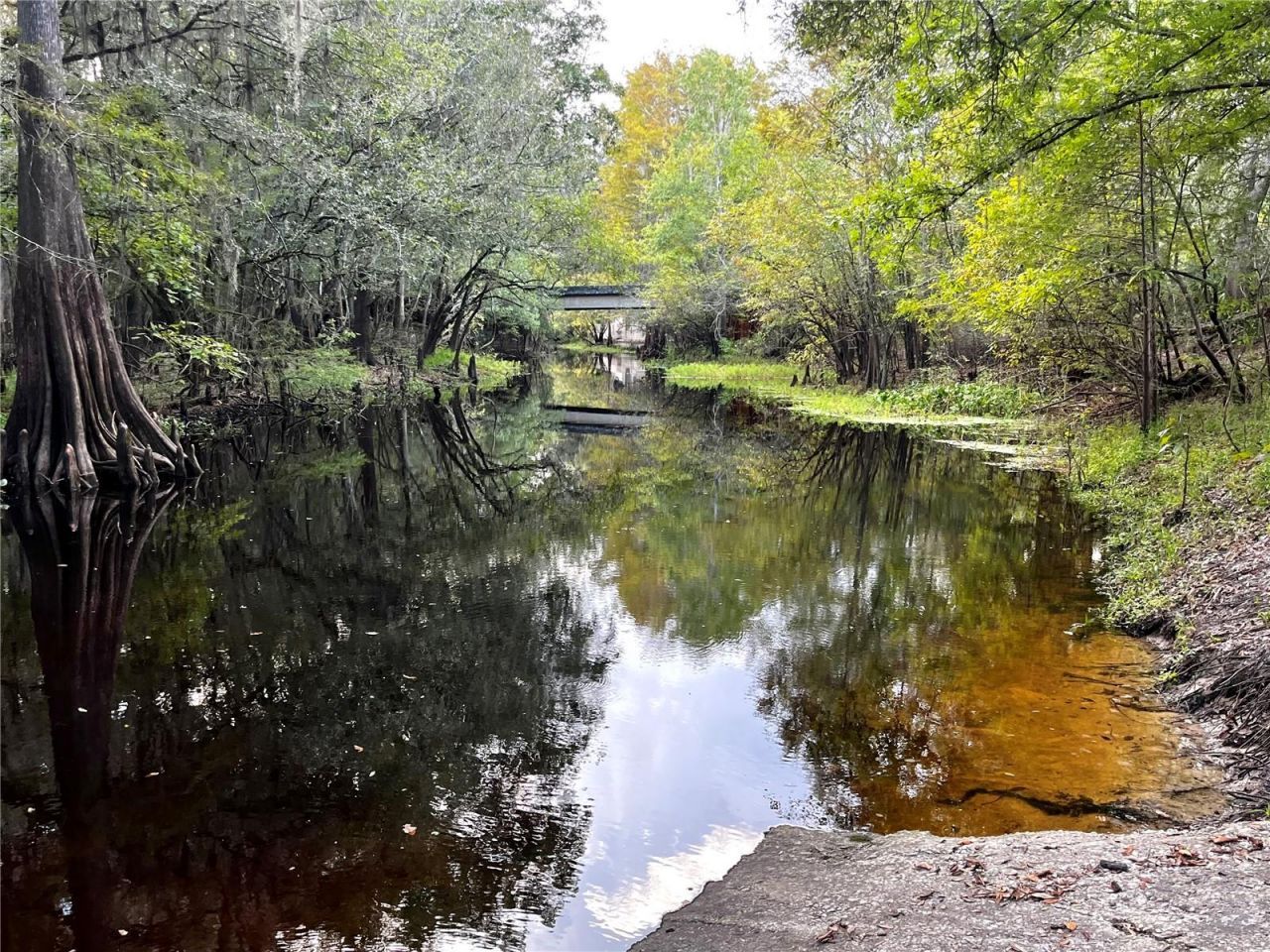 Canal Street , Fanning Springs, FL 32693 Photo