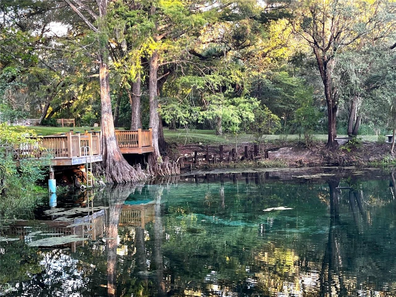 Canal Street , Fanning Springs, FL 32693 Photo