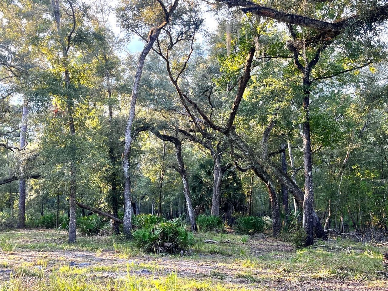 Canal Street , Fanning Springs, FL 32693 Photo