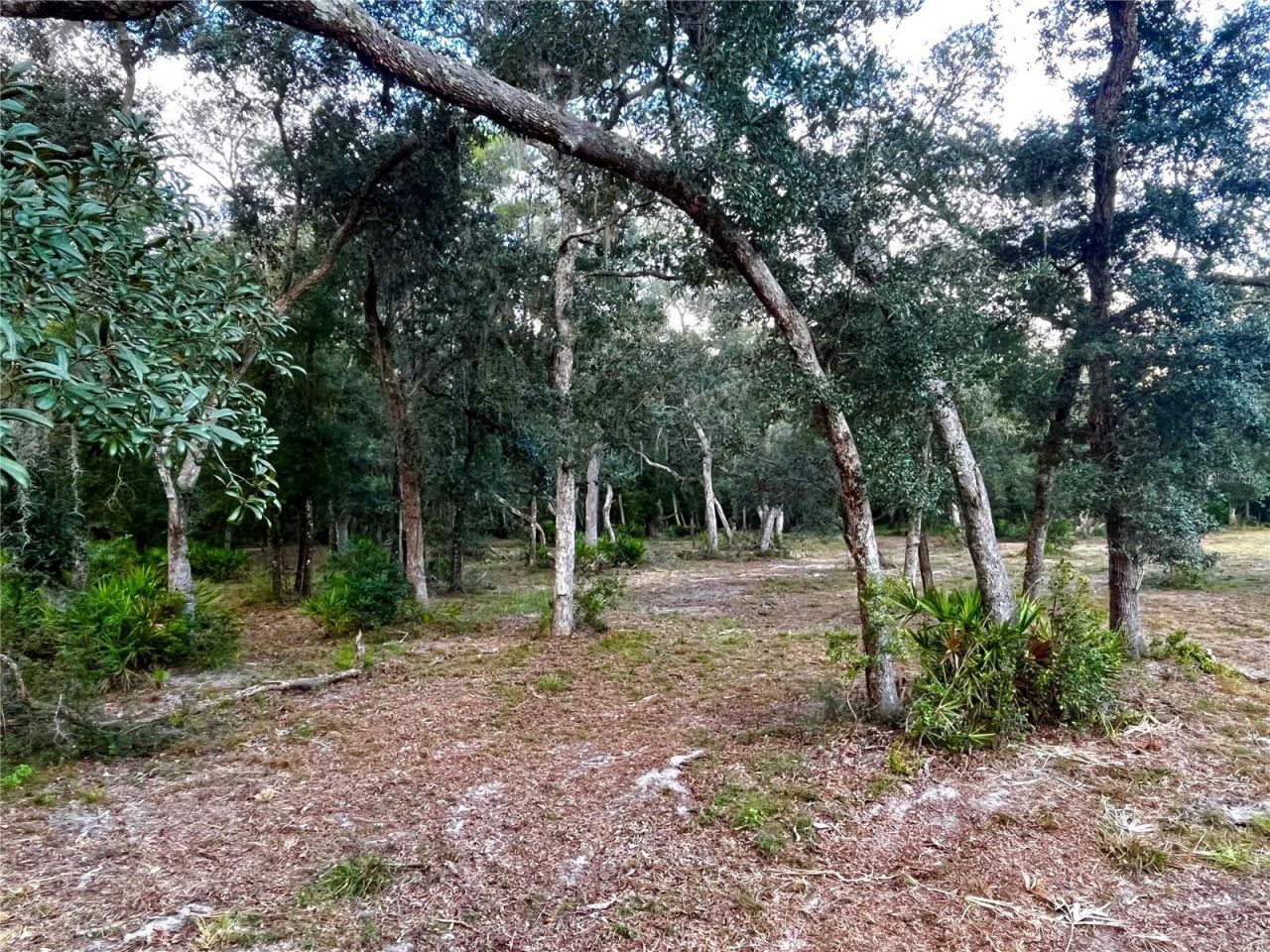 Canal Street , Fanning Springs, FL 32693 Photo