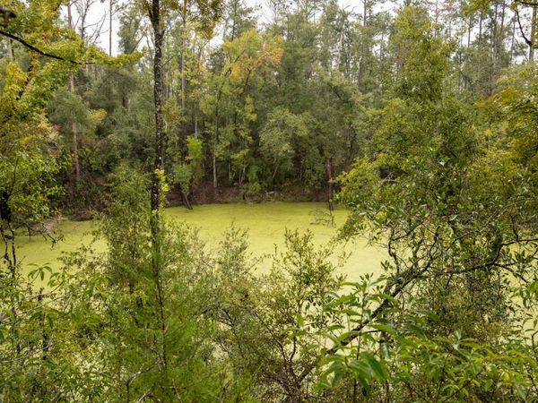 000 8TH TERR, Live Oak, FL 32060