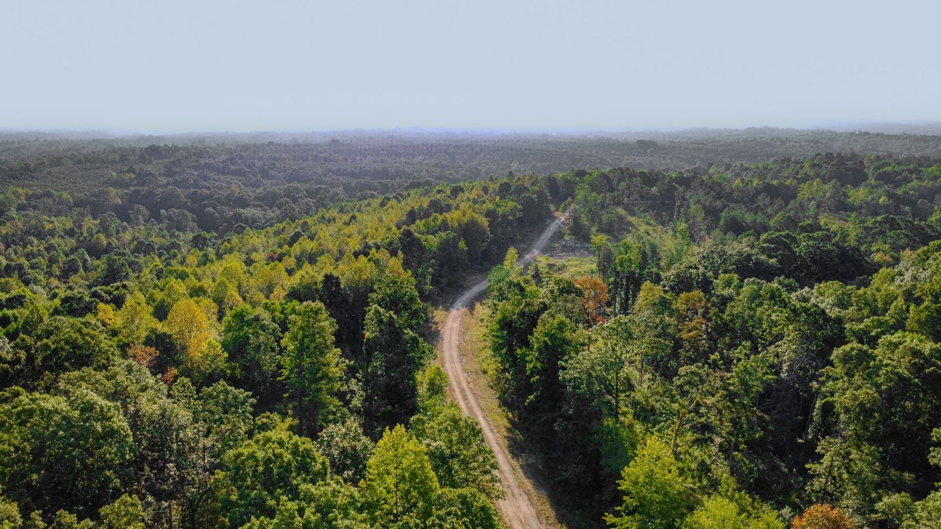 0 Highway 232, Lot #1, Dover, TN 37058 Main Photo