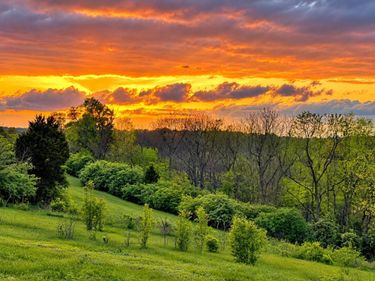 356 Prestwick Circle, Unit Lot 165, Richmond, KY 40475