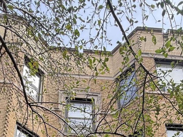 539 W Brompton Avenue , Unit 1B, Chicago, IL 60657