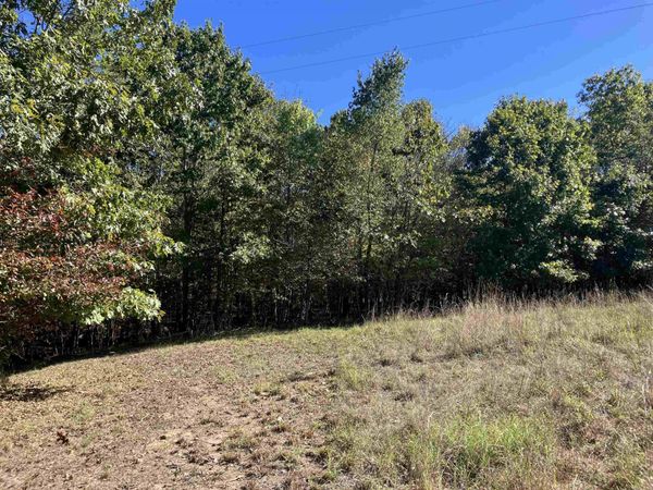 TBD Tract 5 Polk Road 78 Road , Mena, AR 71953