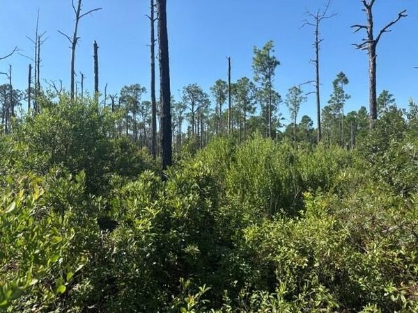 0 Hwy 630e, Frostproof, FL 33843