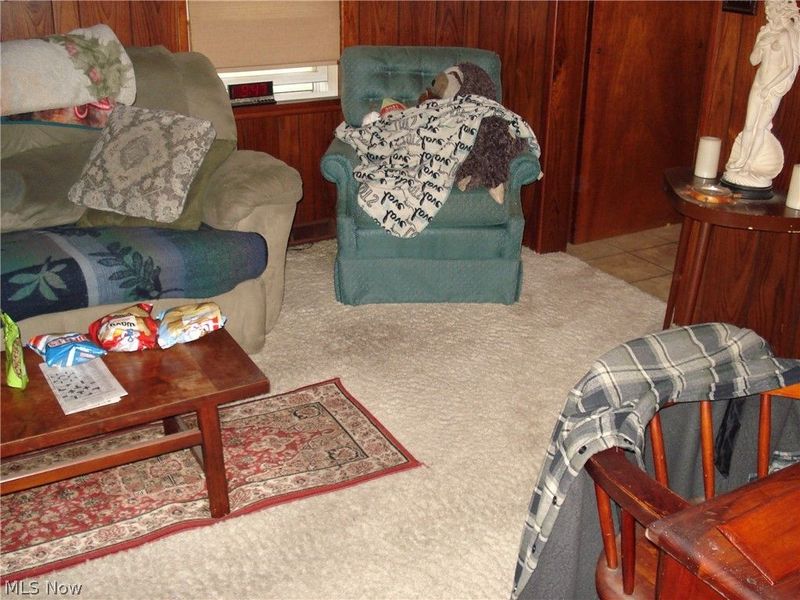1339 E 343rd Street, Eastlake, OH 44095 Photo 9
