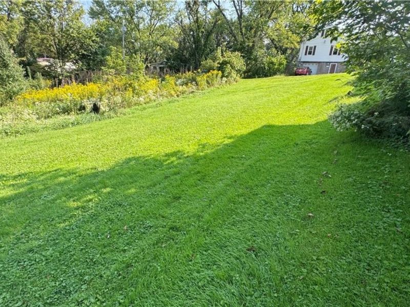 Ellsworth Street, Wintersville, OH 43953 Photo 2
