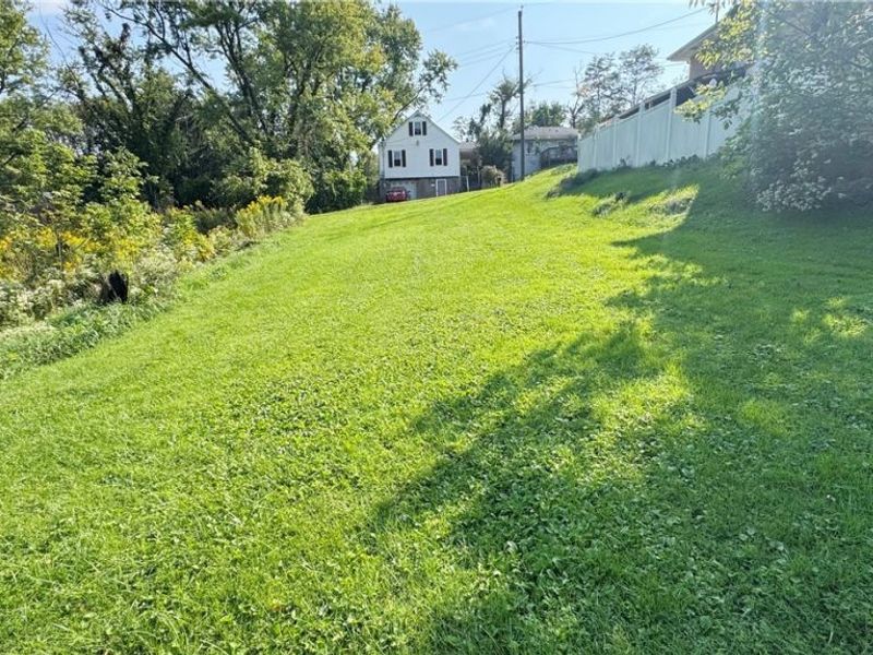 Ellsworth Street, Wintersville, OH 43953 Photo 3
