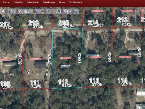 125 STREET , BRONSON, FL 32621
