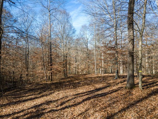 0 Highway 49 , Ashland City, TN 37015