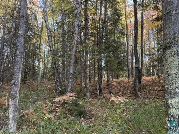 XXX Brule River Rd, Brule, WI 54820