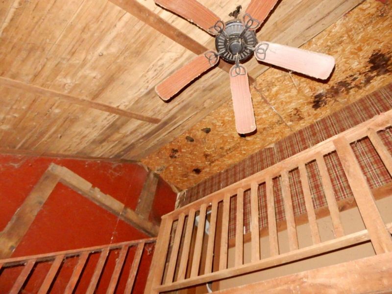 6959 Salem Road, Fredericktown, OH 43019 Photo 20