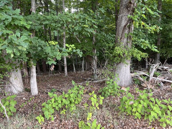 0 Parford LN , Moneta, VA 24121