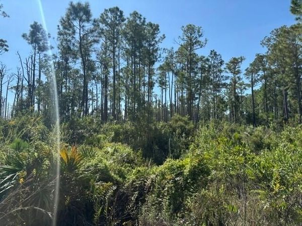 0 Hwy 630e, Frostproof, FL 33843