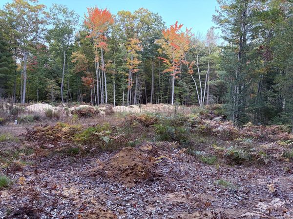 Lot #20 Indian Oaks Trail, Prudenville, MI 48651