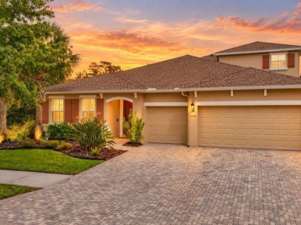 3117 MAJESTIC VIEW DRIVE , LUTZ, FL 33558