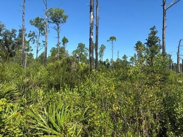 0 Hwy 630e, Frostproof, FL 33843