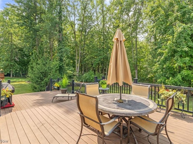 7433 Sir Roberts Court, Mentor, OH 44060 Photo 37