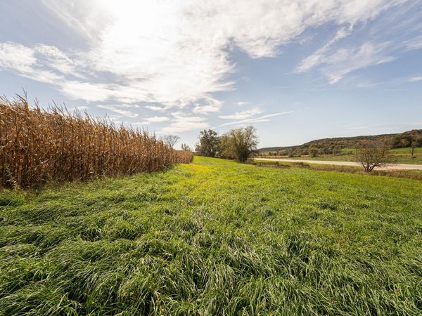 34.06 acres Highway 131, Wilton, WI 54670