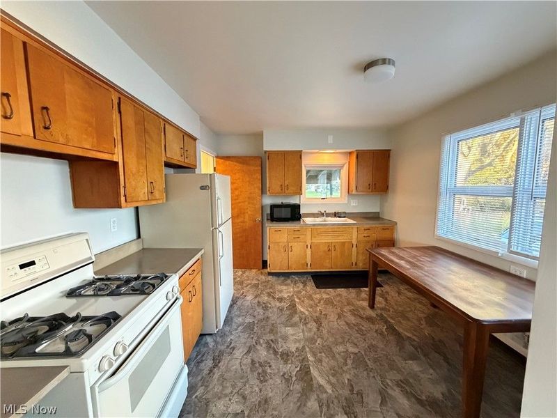 676 Lucille Drive, Elyria, OH 44035 Photo 4
