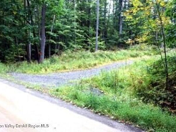 L30.4 Old Gale Hill Road, East Chatham, NY 12060