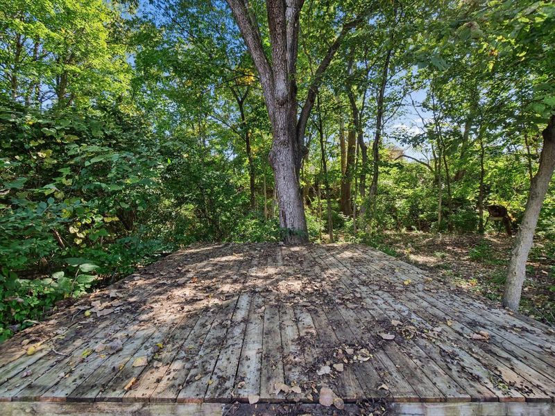2951 Crocker Run Road, Grove City, OH 43123 Photo 49