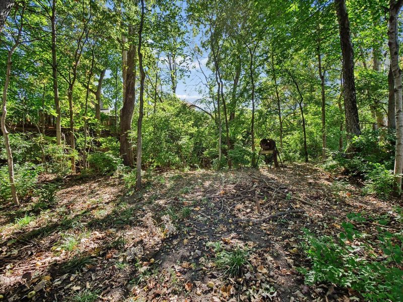 2951 Crocker Run Road, Grove City, OH 43123 Photo 5