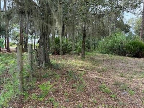 980 N Deer ST , CLEWISTON, FL 33440