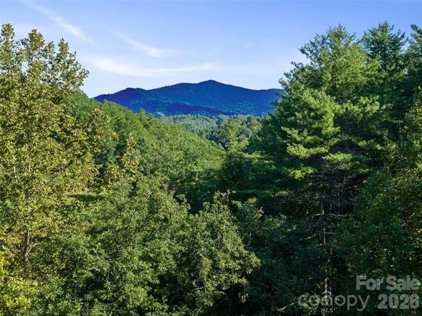 TBD Fog Hollow Drive , Green Mountain, NC 28740