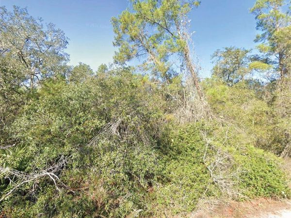 FISHER TRAIL , OCKLAWAHA, FL 32179