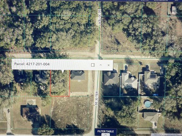 Lot 4,5,6 SE 143RD PLACE , SUMMERFIELD, FL 34491