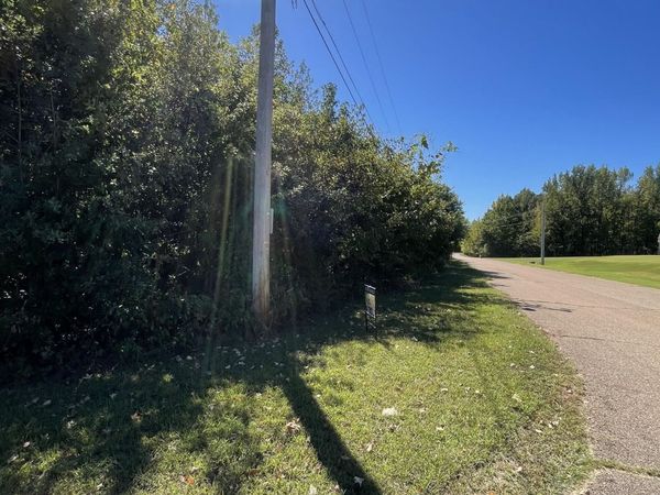 MCCREIGHT DR, Millington, TN 38053