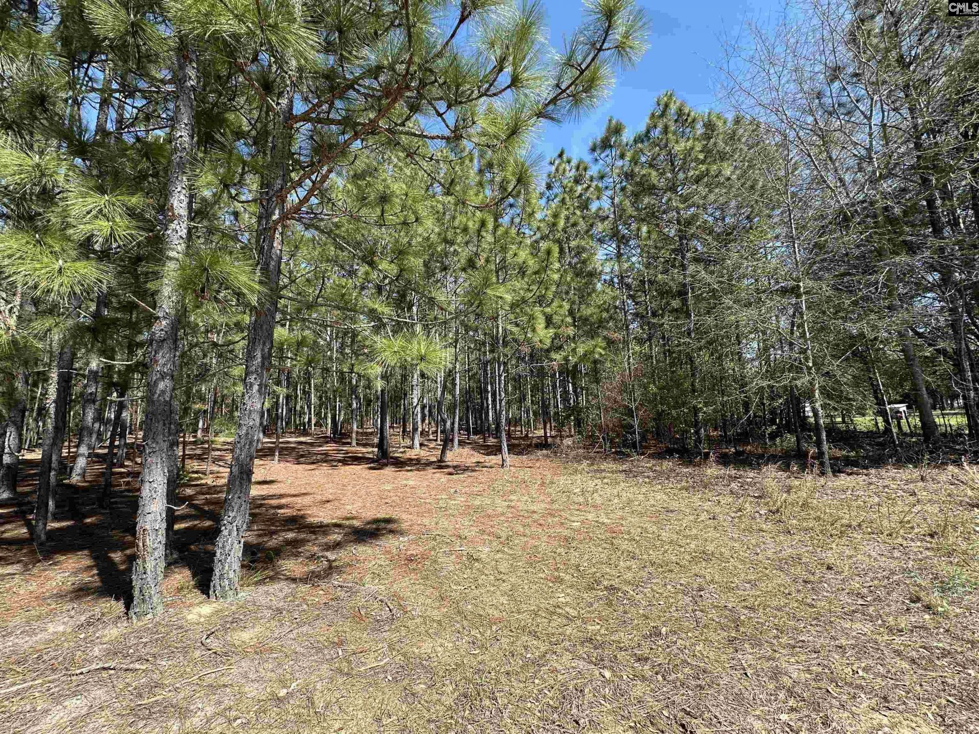 223 Mimosa Drive Photo 4