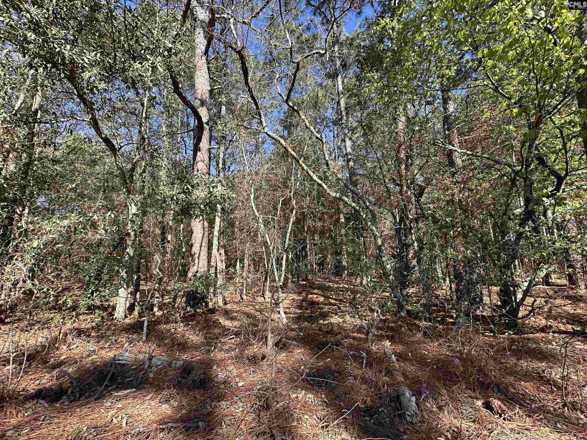 223 Mimosa Drive Photo 6