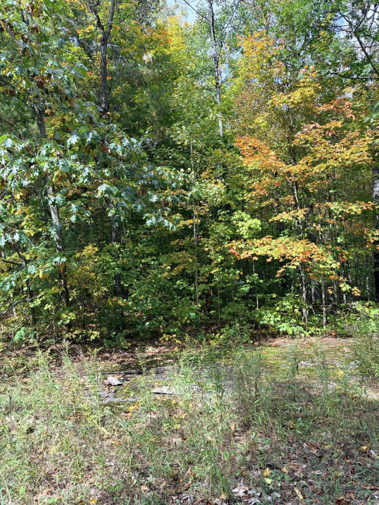 Vl Bruun Trail, Frederic, MI 49733 Main Photo