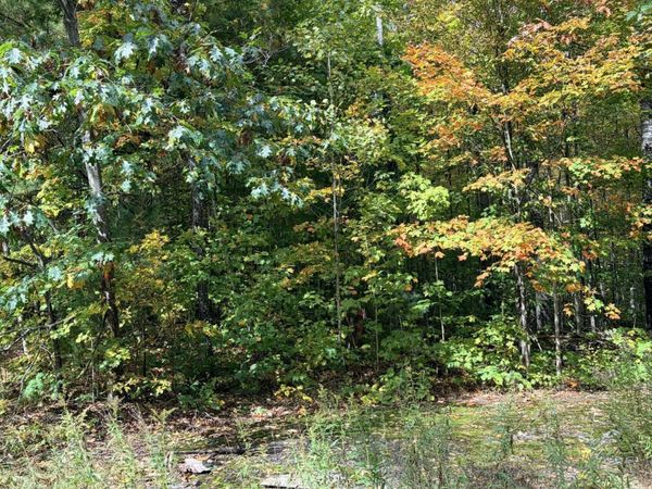 VL Bruun Trail, Frederic, MI 49733