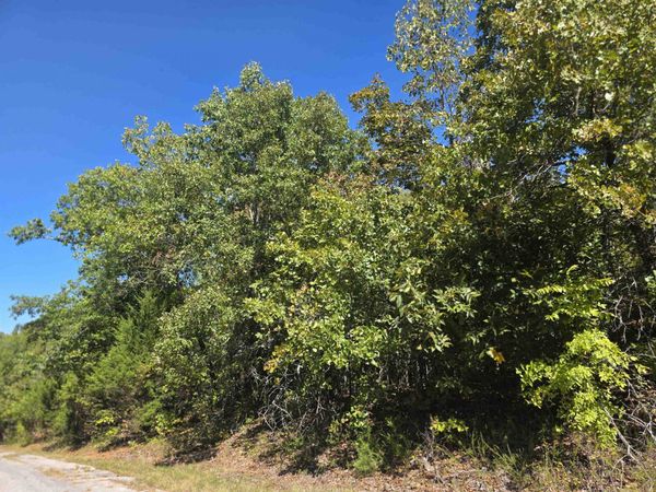 1106 S Michigan Avenue , Horseshoe Bend, AR 72512