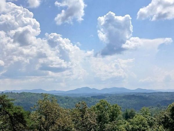 LOT 23 Mountain Laurel Ridge, Mineral Bluff, GA 30559