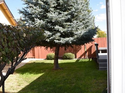 1826 White Pine Way, Minden, NV 89423 Photo