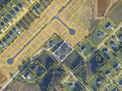 Lot 5-6 Jessamine Dr/Mulberry Road, Orangeburg, SC 29118