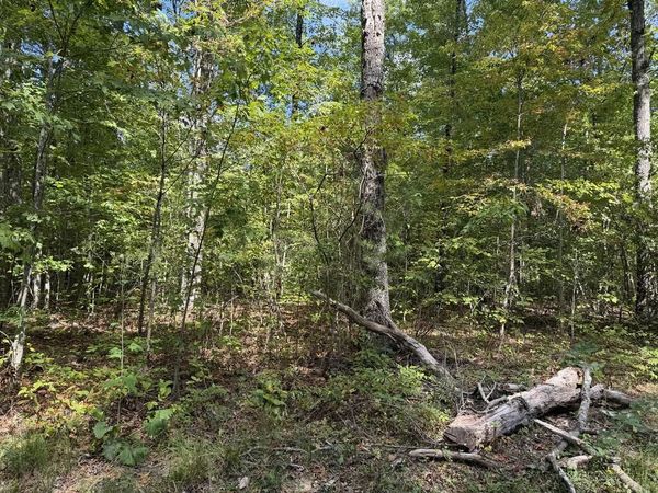 6.34 Ac Horse Creek Rd., Jamestown, TN 38556