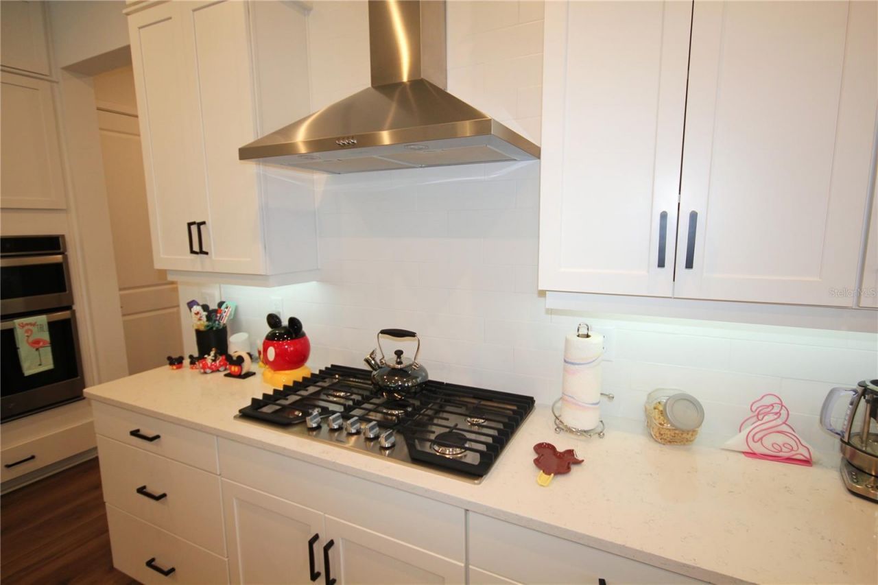 1859 Beach Ridge Rd, Celebration, FL 34747 Photo