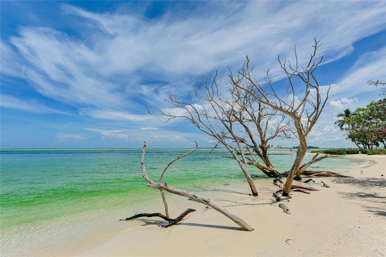 11 Sandy Cove Road , Unit 8F, Sarasota, FL 34242 Photo