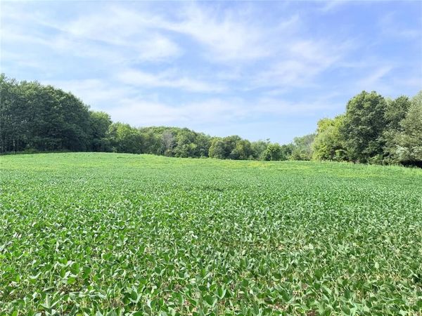 Lot 2 - 10 Acres 230th Street, St Croix Falls, WI 54024