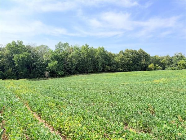 10 Acres Lot 3 230th Street, St Croix Falls, WI 54024