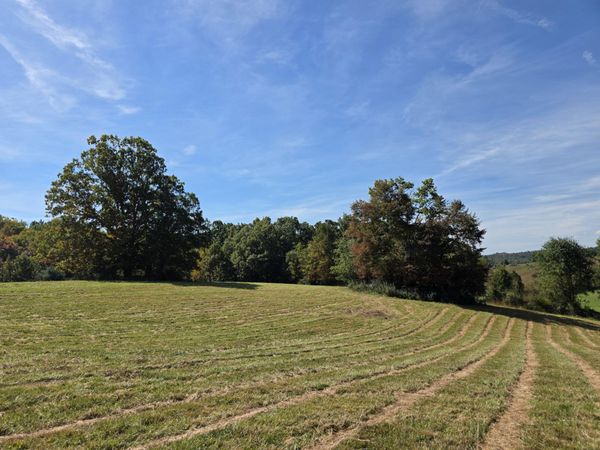 TBD Ridge RD, Check, VA 24072